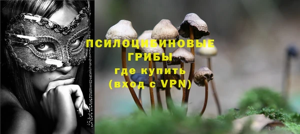 сатива Верхний Тагил