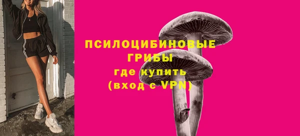 сатива Верхний Тагил