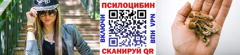 Галлюциногенные грибы мицелий Палласовка