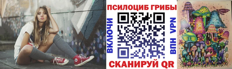 Купить где  Палласовка  Псилоцибиновые грибы прущие грибы 
